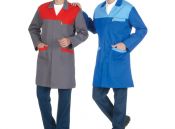 Gabardin Robalı
